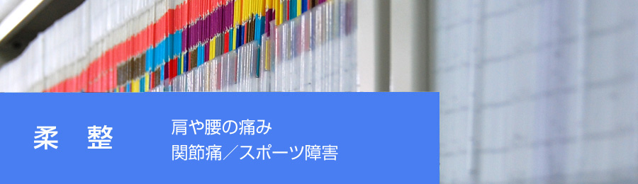 �_���@������E���Ɂ^���ɁE�M�b�N���� �G�Ɂ^�X�|�[�c��Q�@